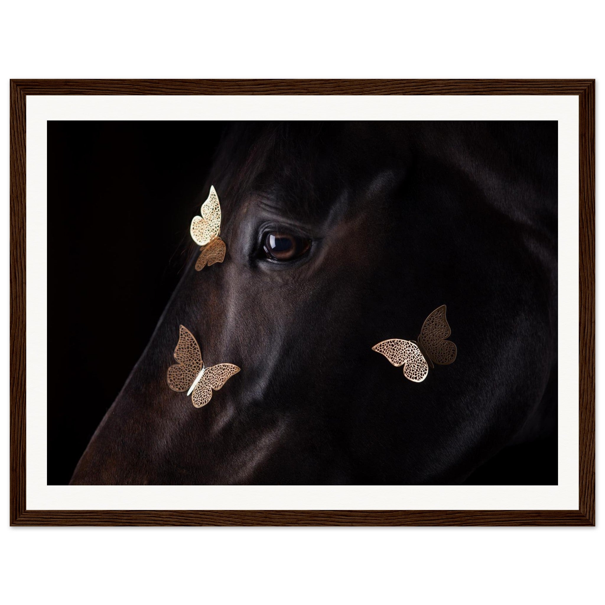 e12bc150-fc04-4b23-9f91-d9f668392e20