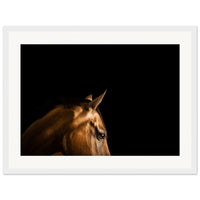 e149886f-91cc-4a89-8dc7-a4a428013278