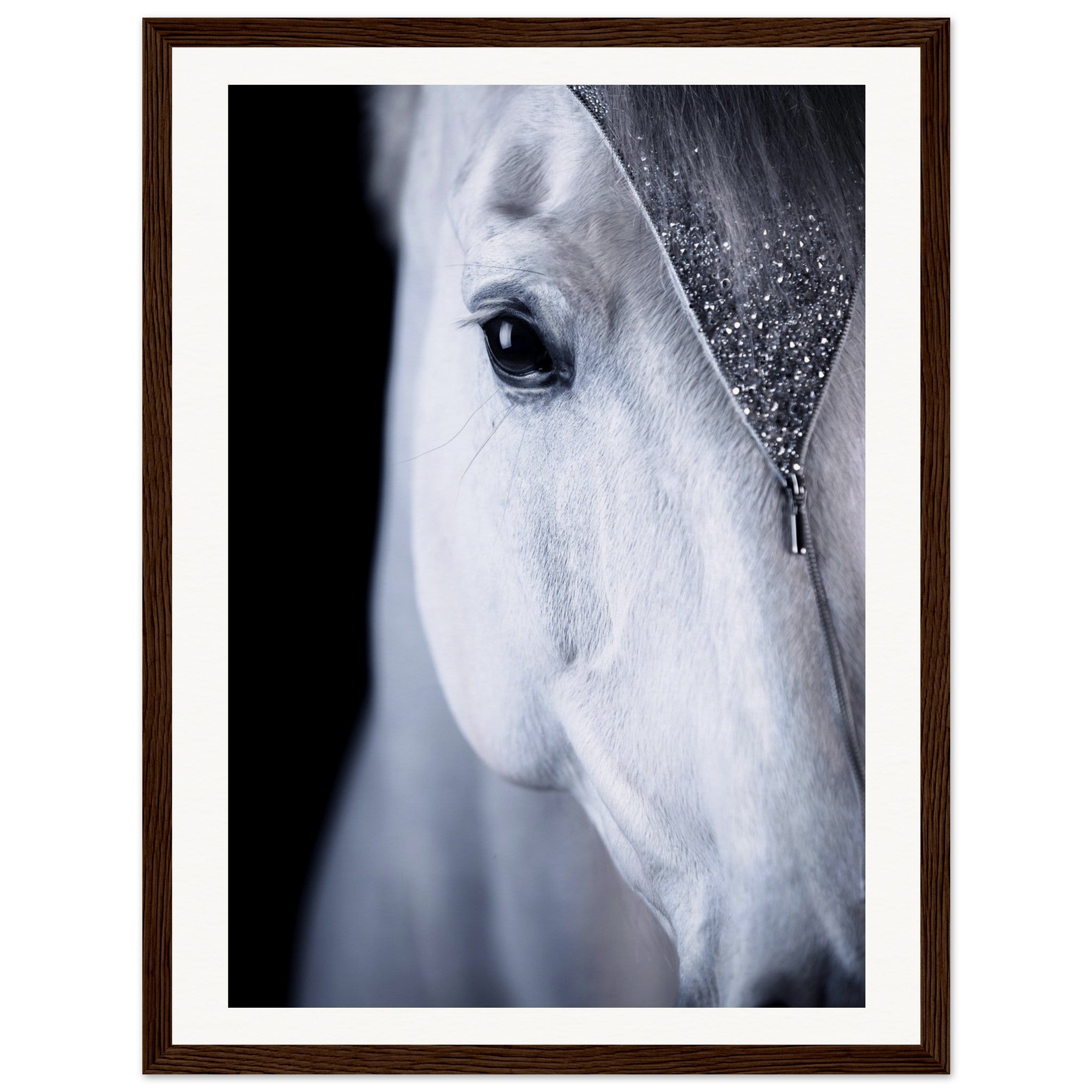 e16dc288-1b51-421b-a989-e09f9abab52b