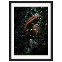 e186f8b4-af0d-4bca-9e0d-3b45343836e9