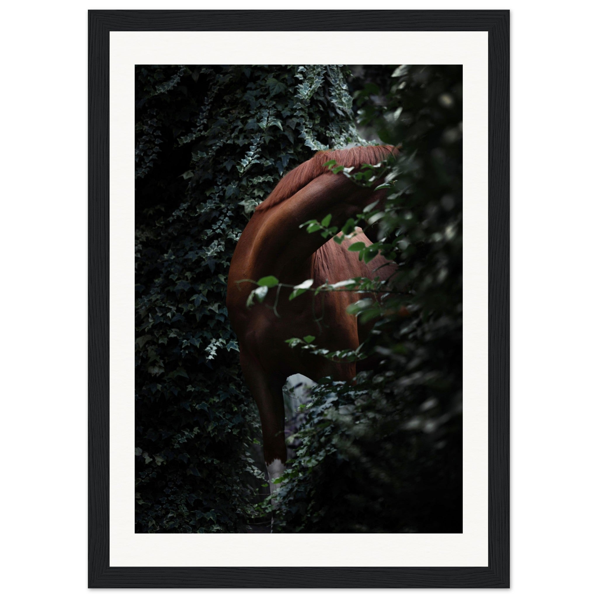 e186f8b4-af0d-4bca-9e0d-3b45343836e9