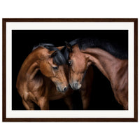 e1ed1211-c6e6-46e5-aaa1-4a062e081972