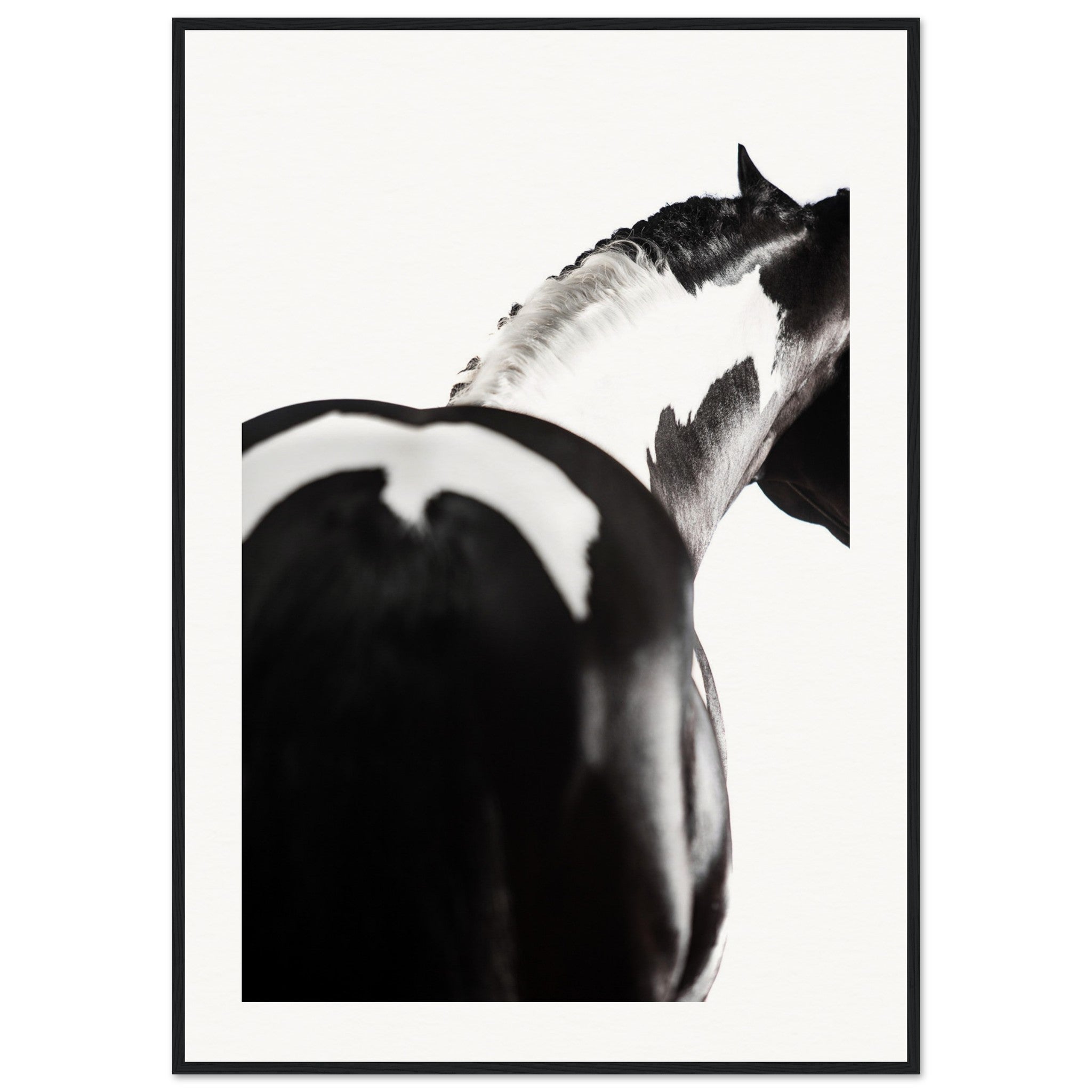 e28691ab-2a90-4192-8276-73c7497aed6b