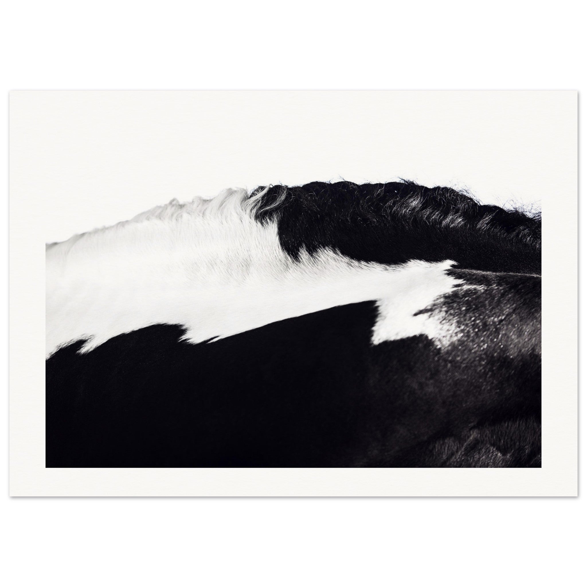 e2a43d0a-b3a6-499b-903f-a1144aa6b41d