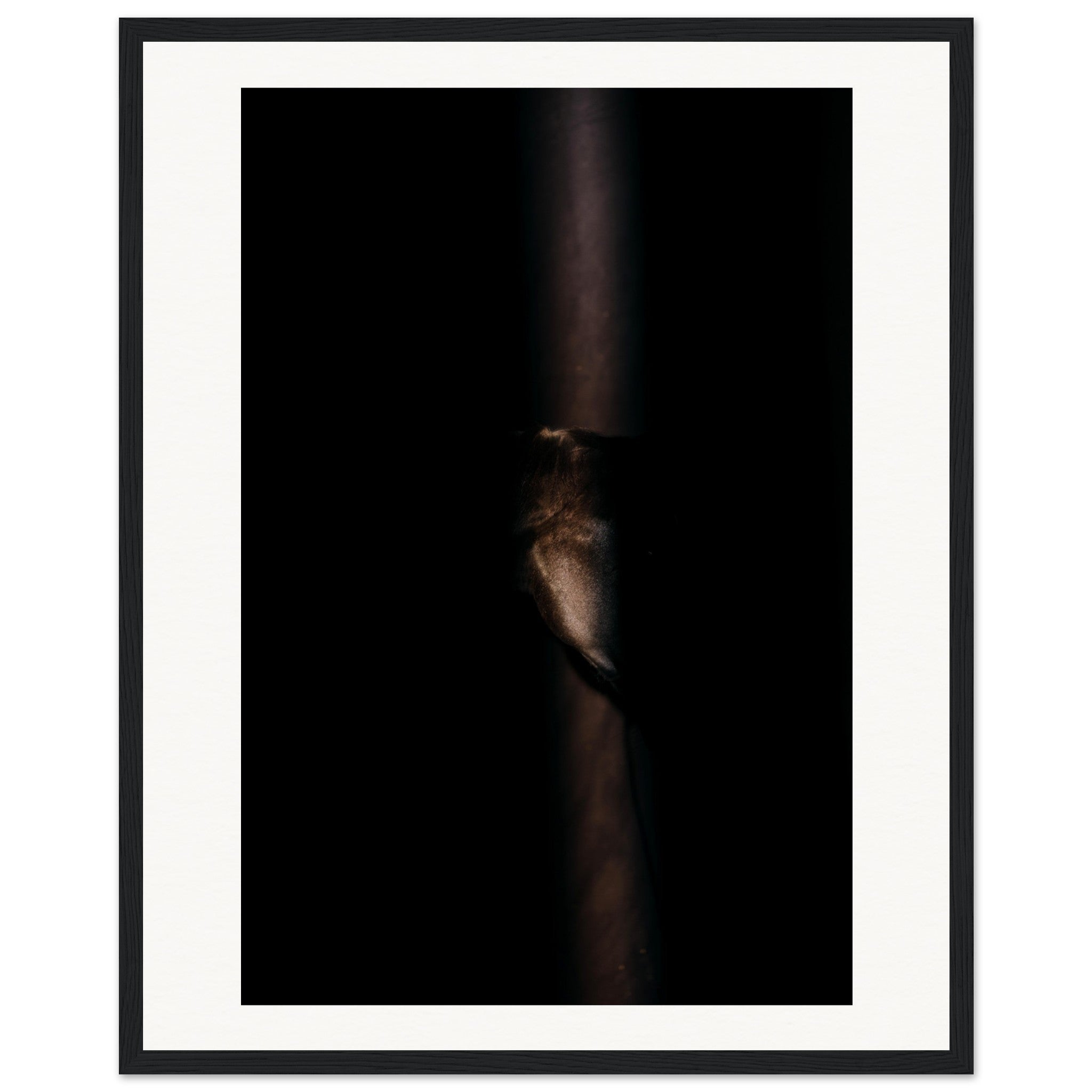 e2df8b2c-8a9a-410f-8aa3-26acd947aed6