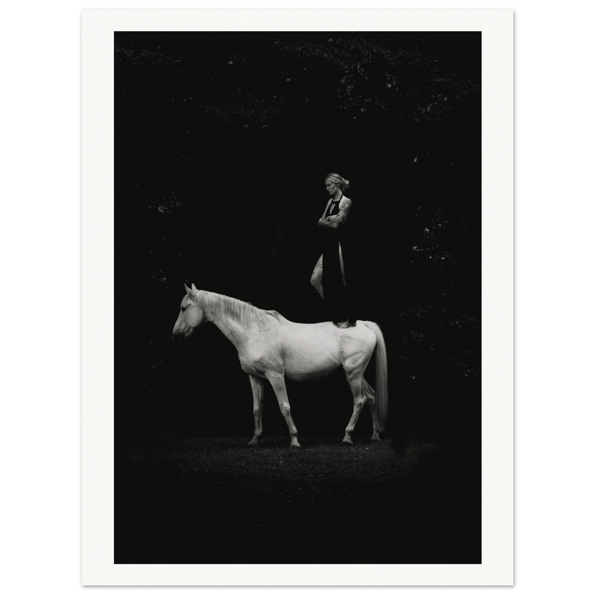 e301314a-b04a-4a72-8ba0-2f6552733b73