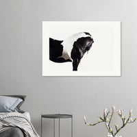 e3477ab3-1028-47f7-b7cd-070c0aad4653