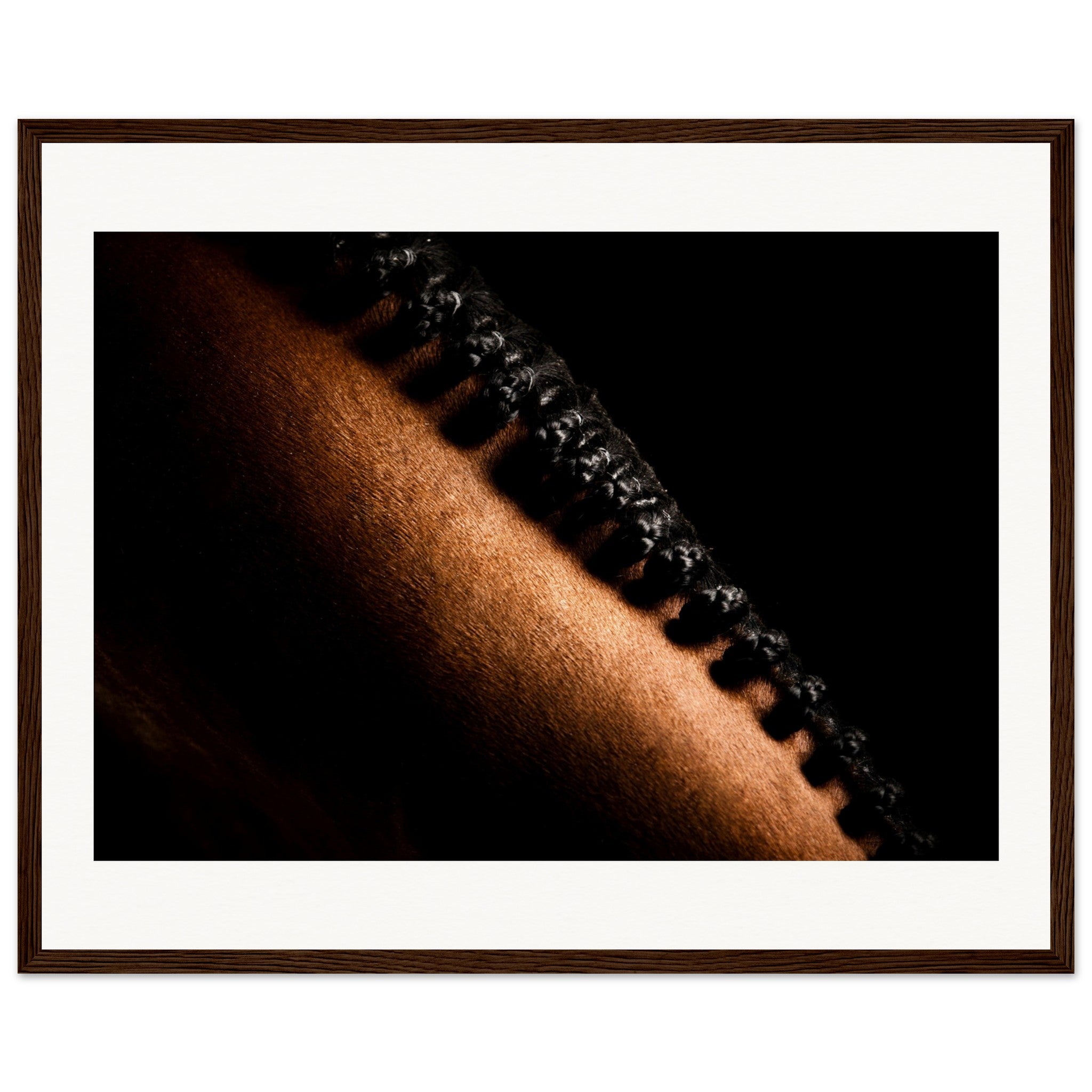 e3540134-c9ad-49f4-bba6-11a383f91324