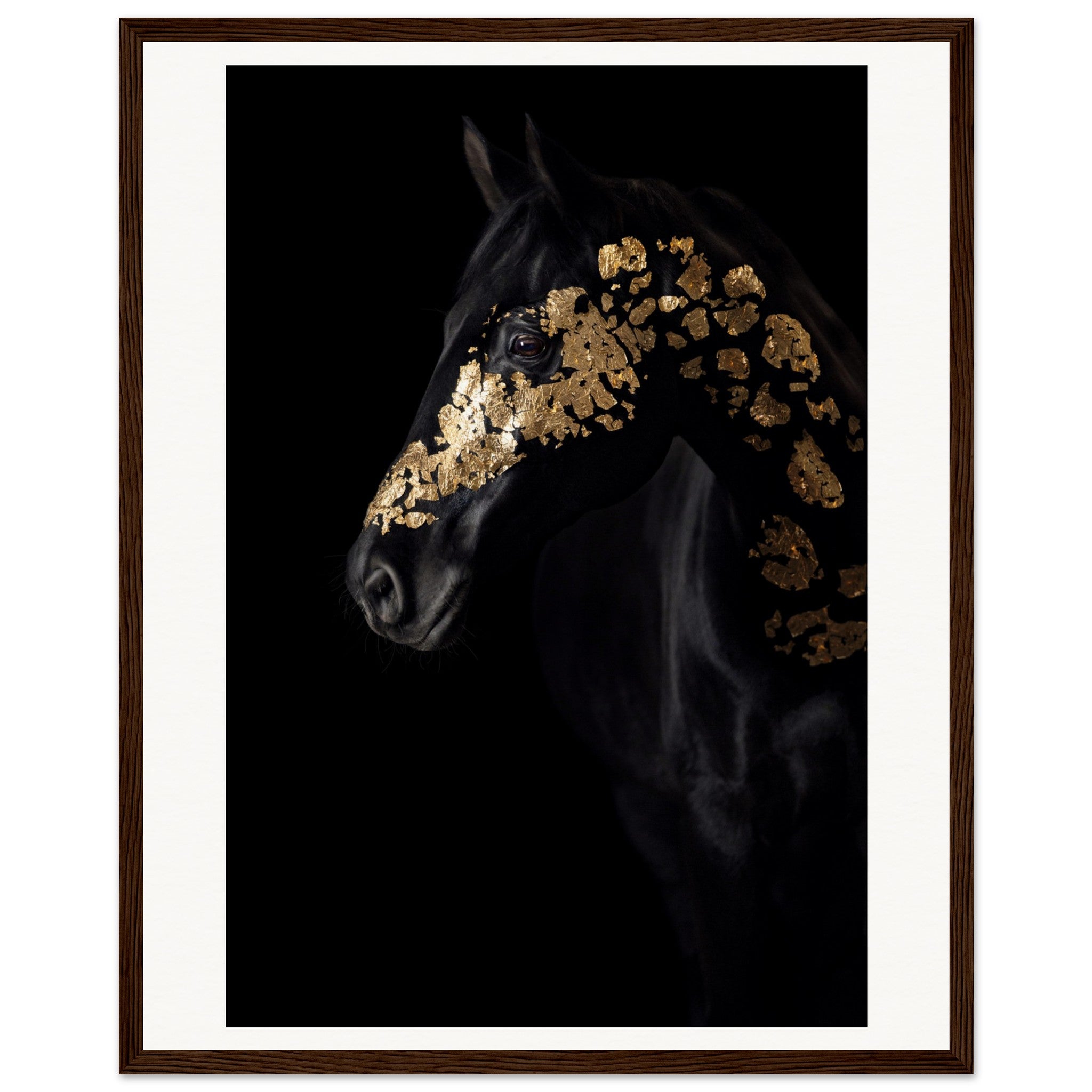 e3789586-ba3f-4d42-94a6-a5b4192f2e7b