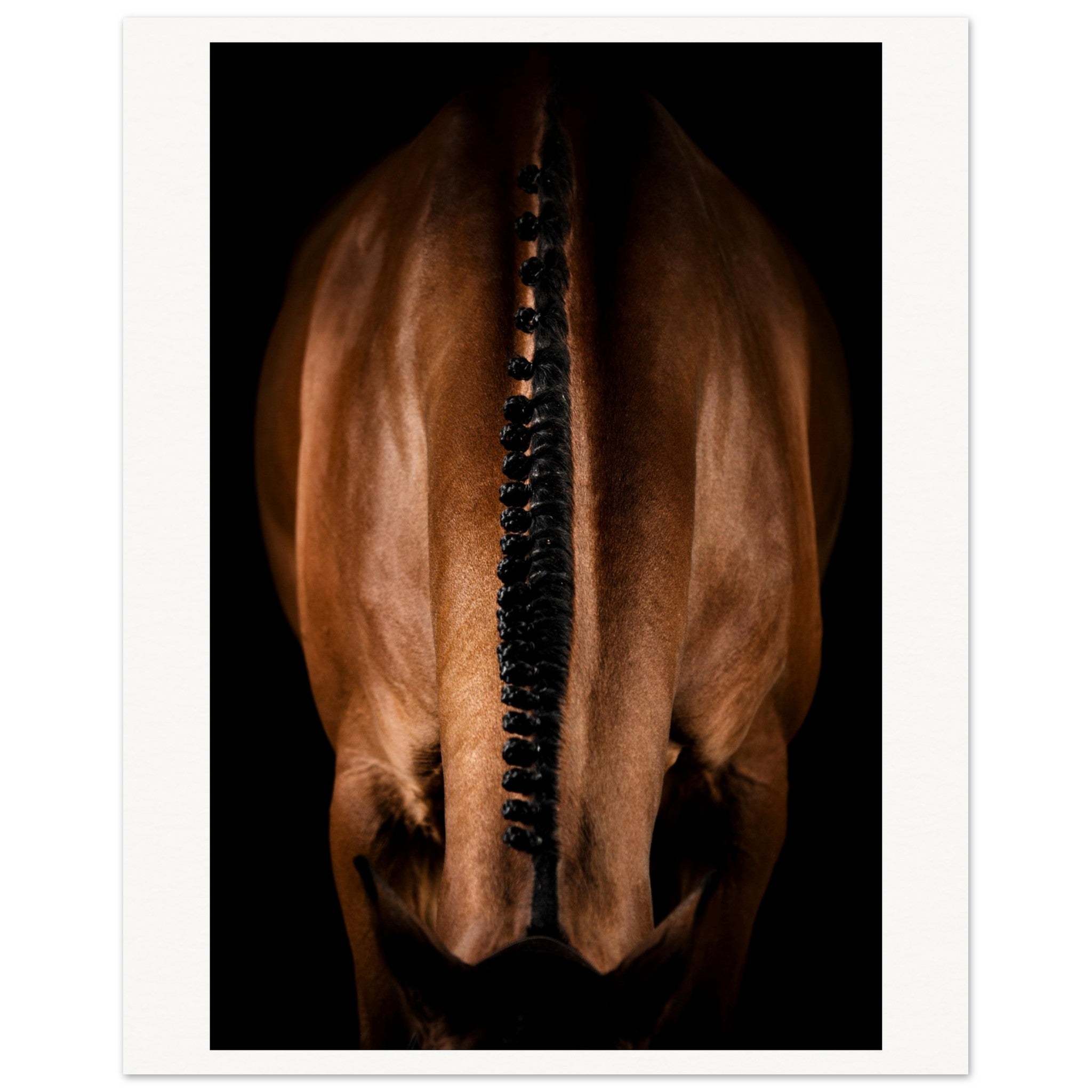 e38131b5-1173-43c2-a5f3-9806e28fbdce