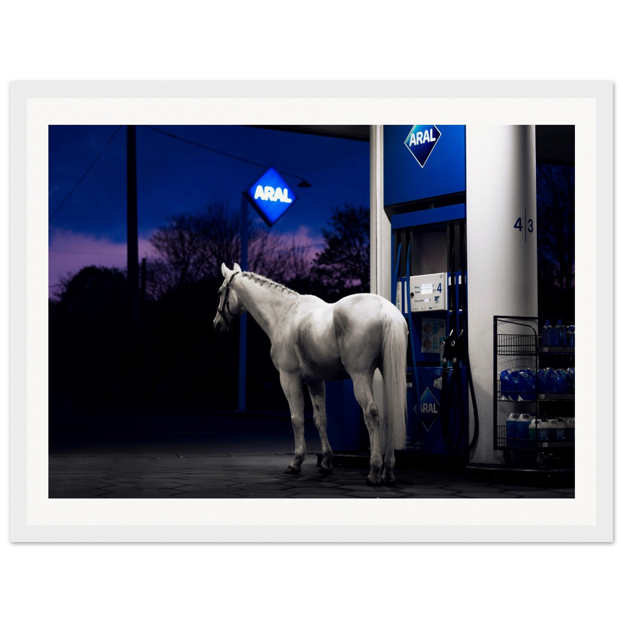 e3885f0f-a98a-4c6b-bb99-904db03c3a9d