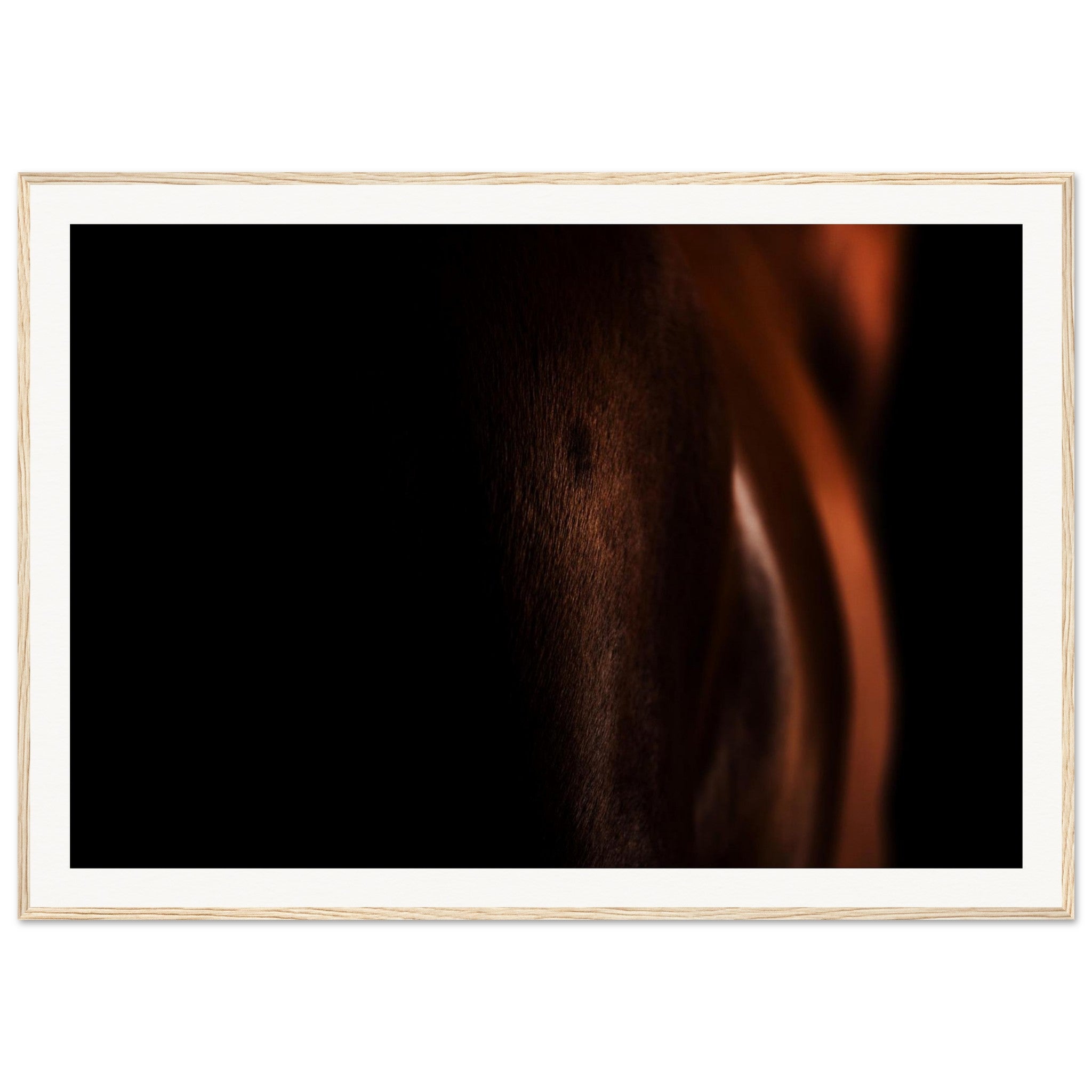 e3d363fa-8df1-4b22-b711-7a623574e1ed