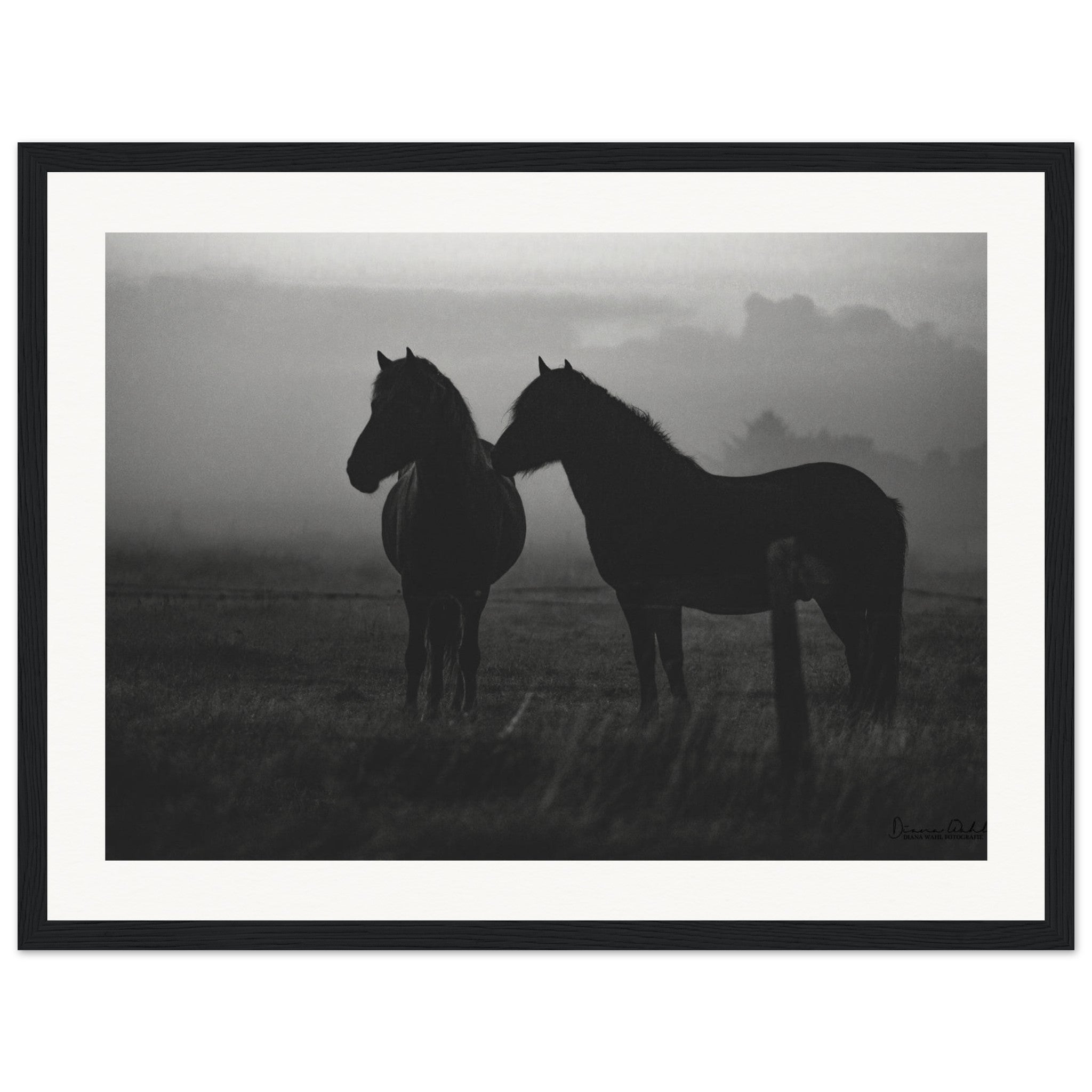 e3fe05f5-2080-47e2-866b-4d62f322e270