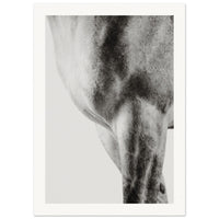 e52b8ea4-80e4-4654-a9a4-cf241cf7308a