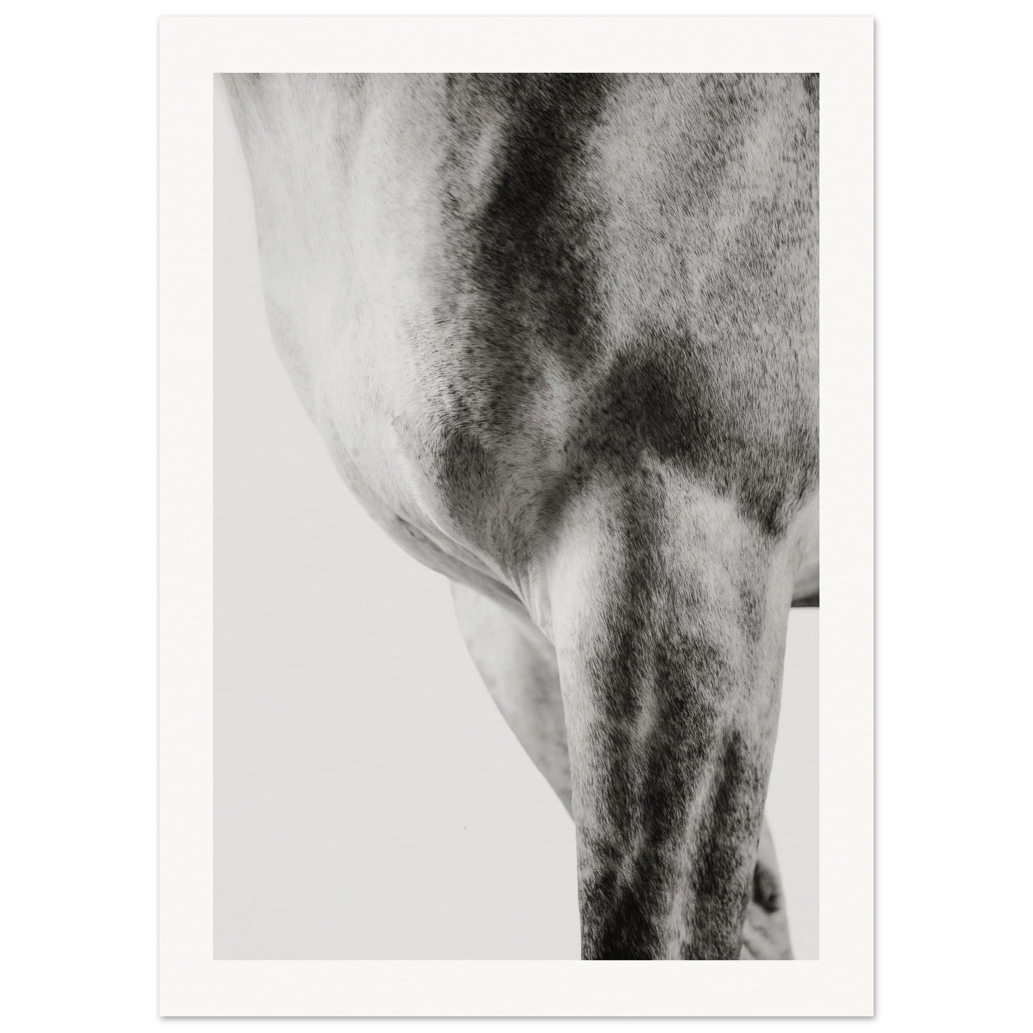 e52b8ea4-80e4-4654-a9a4-cf241cf7308a