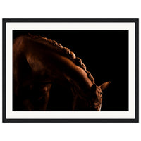 e5428e5a-cd86-418b-b762-f88a7f807bbc