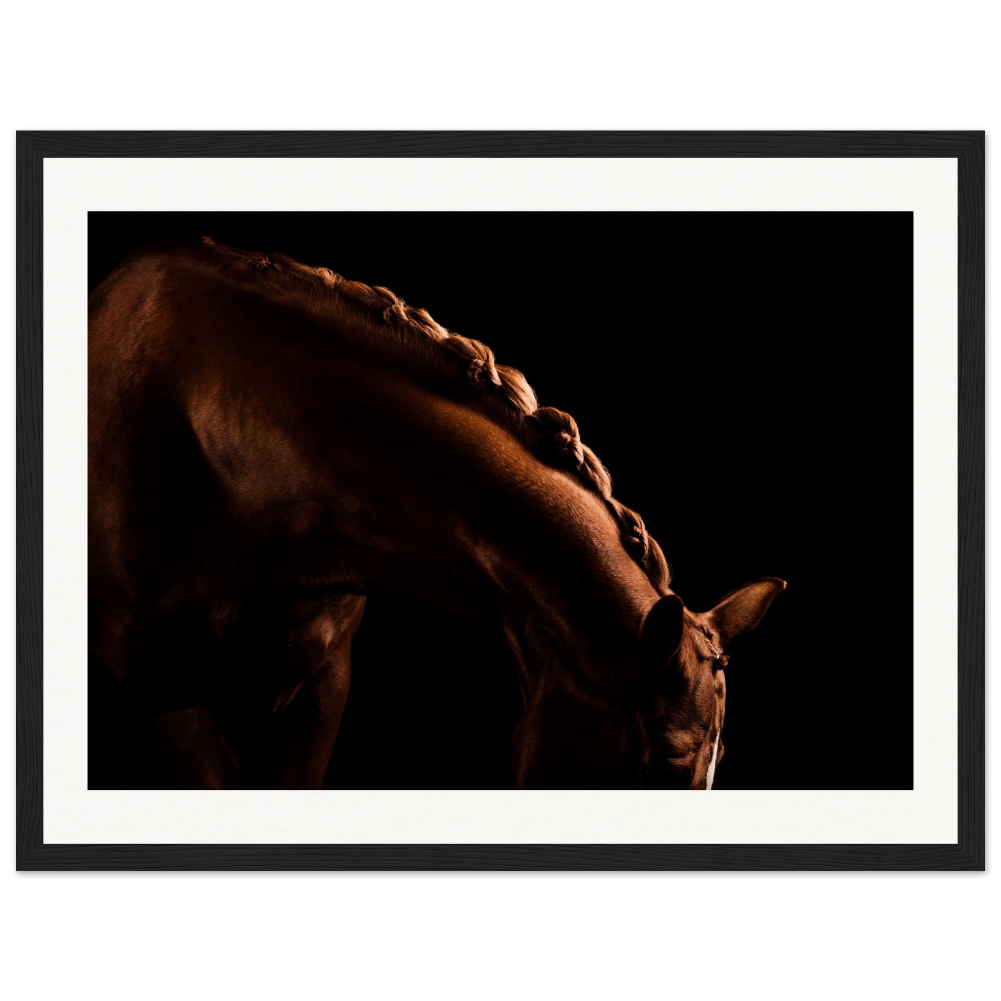 e5428e5a-cd86-418b-b762-f88a7f807bbc