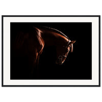 e56050d9-6aab-4cca-aa70-66635dbe4eea