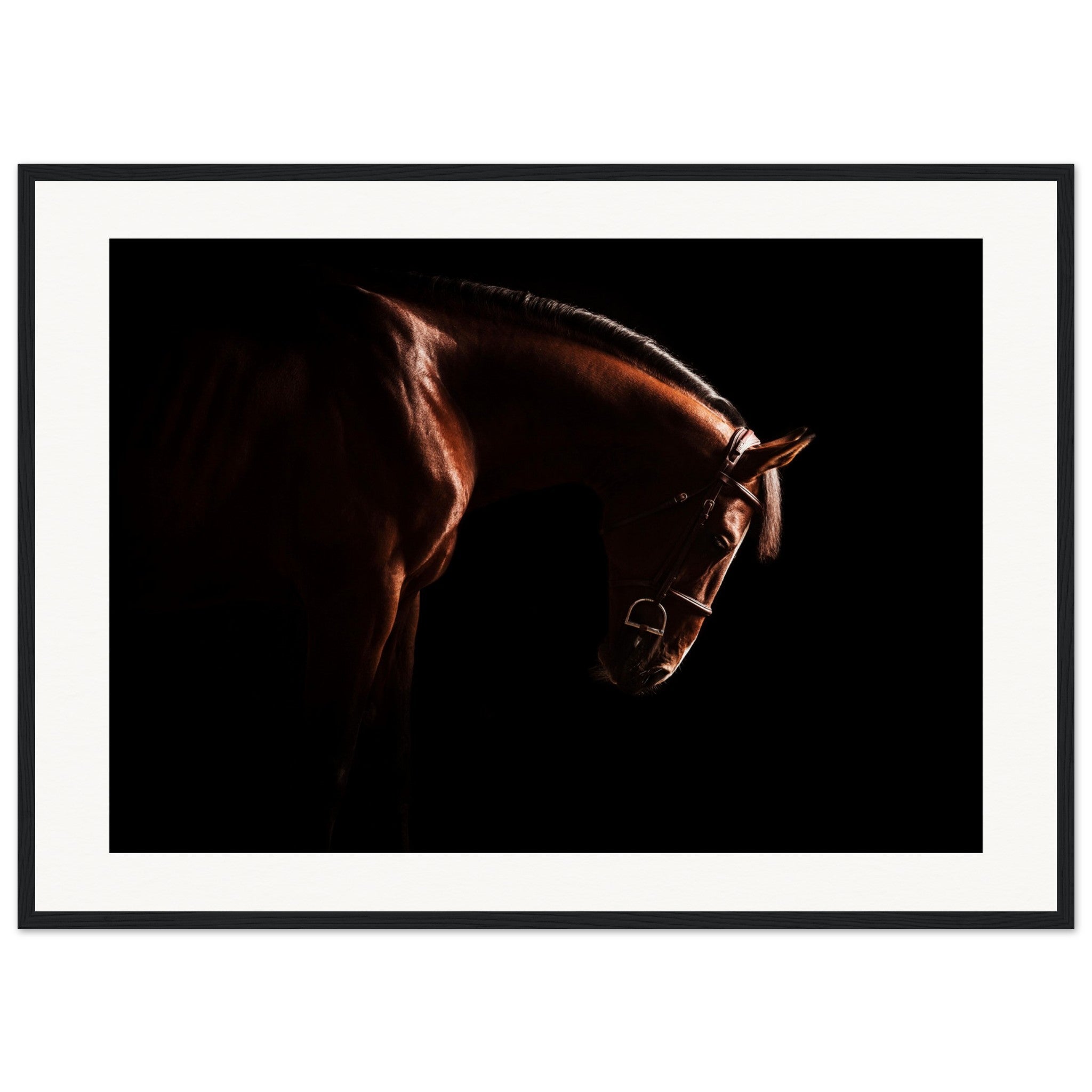 e56050d9-6aab-4cca-aa70-66635dbe4eea