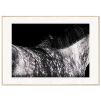 e58341de-ca4d-40e6-b7a1-4cf585560e57