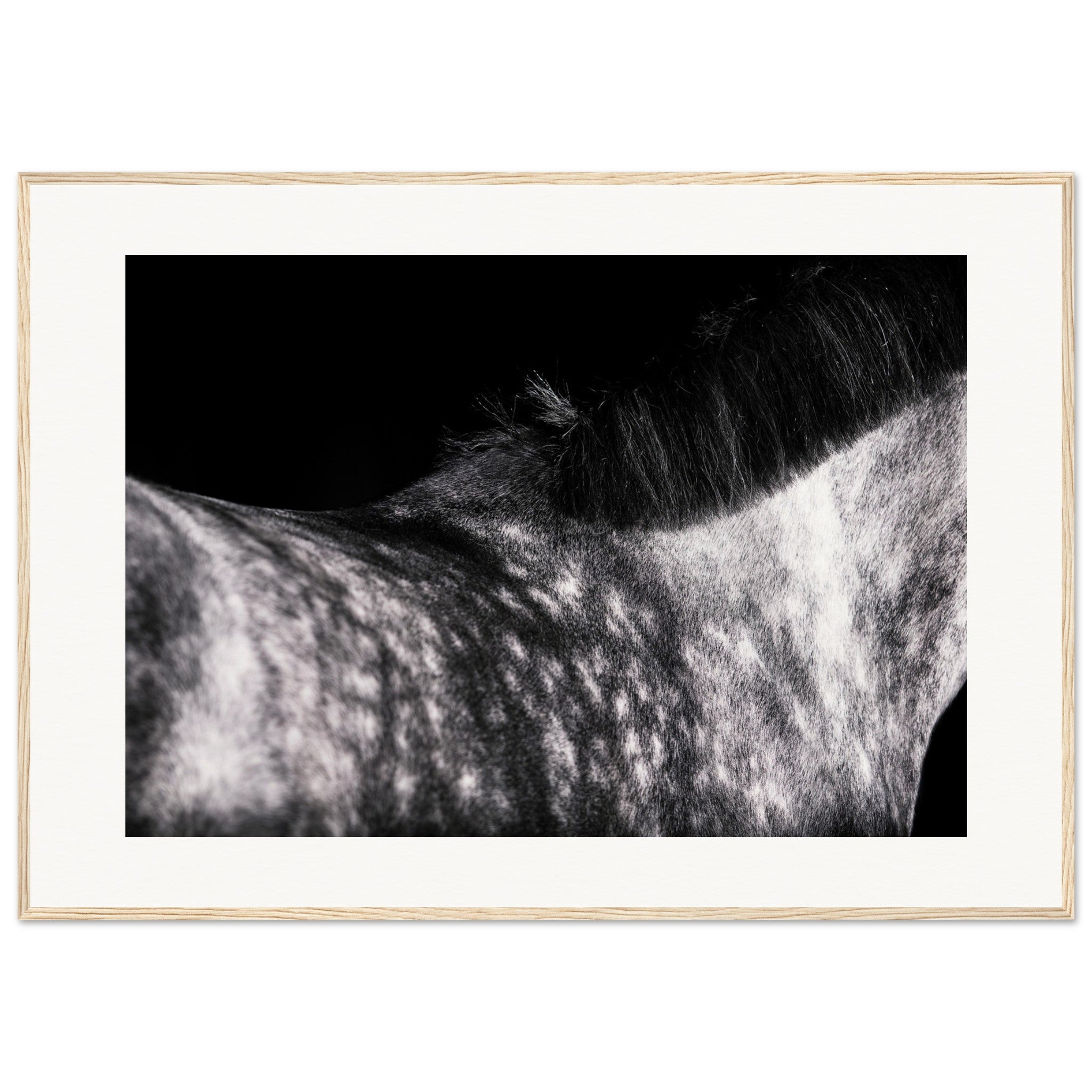 e58341de-ca4d-40e6-b7a1-4cf585560e57