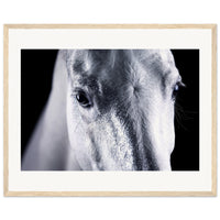 e584d4d4-a39f-48d6-9c3f-f18cfc24f68b