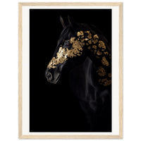 e5910f6e-0de4-4a1e-962d-9b17e34a553f