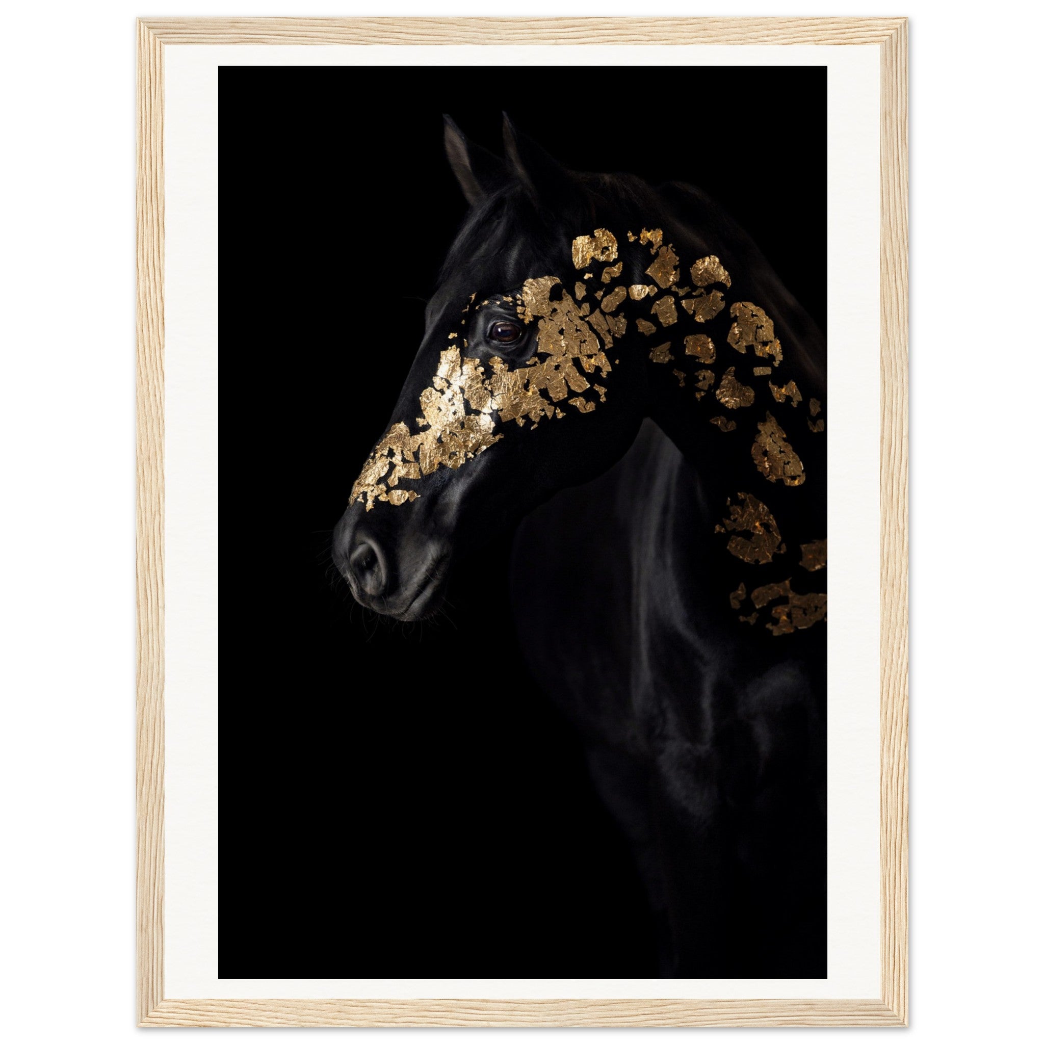 e5910f6e-0de4-4a1e-962d-9b17e34a553f