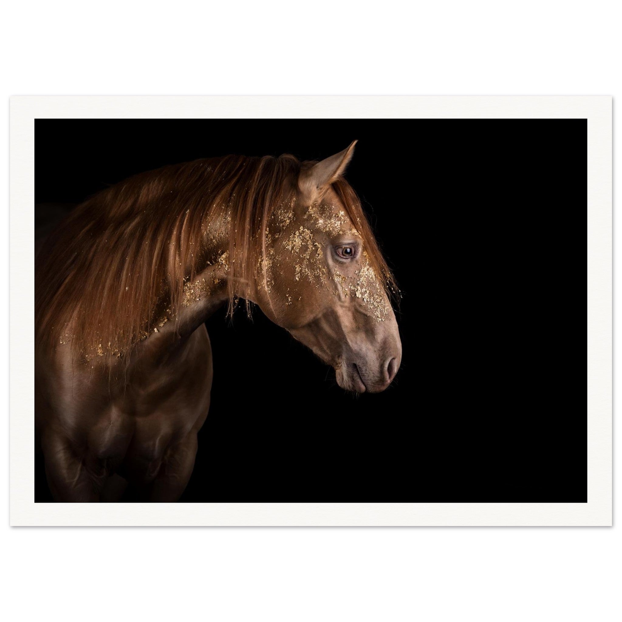 e59985bb-aaa3-4b0e-b0ee-c32cf050d855