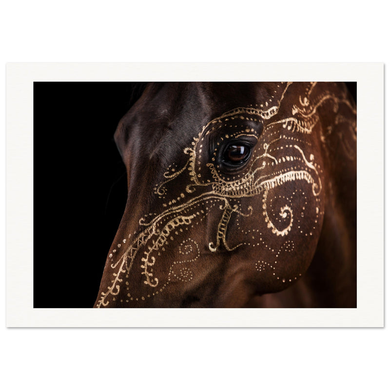 e5a1943f-ea04-43fe-a11f-3264b1fc4906