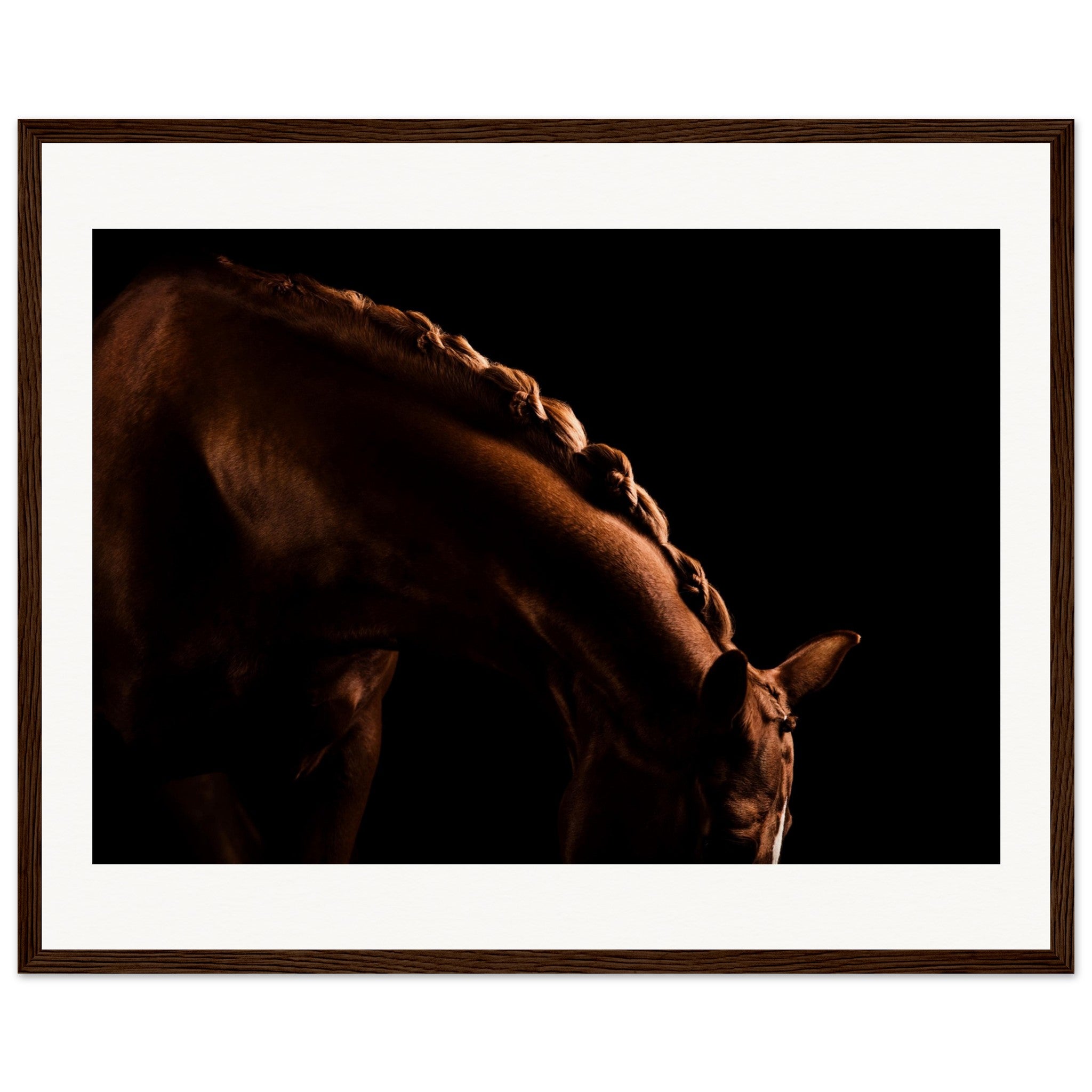 e5a54d7f-f995-441e-80c0-de780e6a3b46