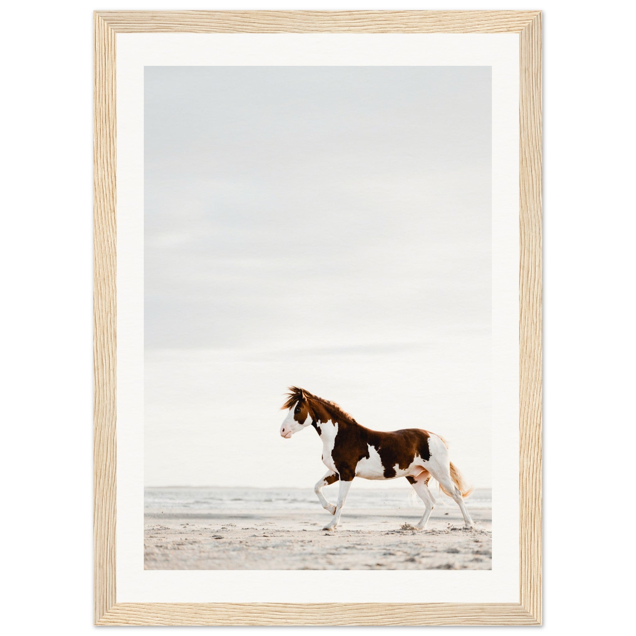 e5d9e6e2-0074-40e4-a3f4-eec9f8b0c2fc