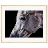 e6033559-bfd4-453d-8d02-43afd9aac72f