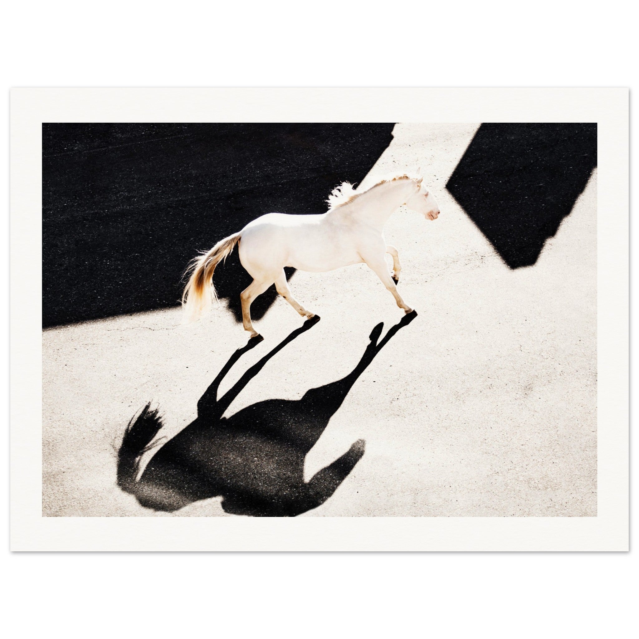 e659a919-adc1-4a9c-9434-5909e3a19abb