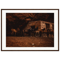 e680c03f-437c-4096-a5d2-a16c44e22739