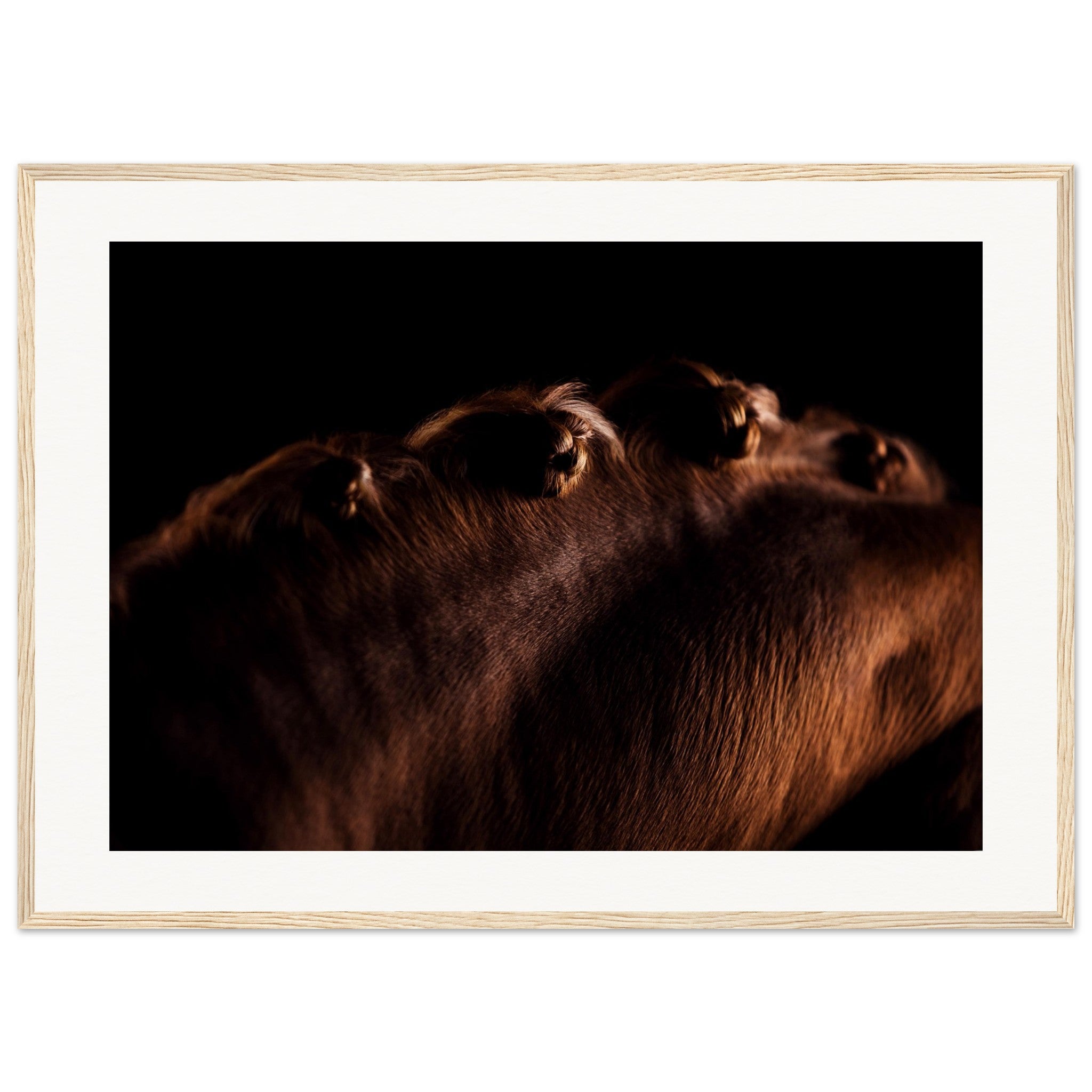 e6e494e4-f218-4a32-920c-be1e5fe9c560