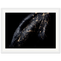 e730194a-2a41-4611-9bed-c7e4217f224d