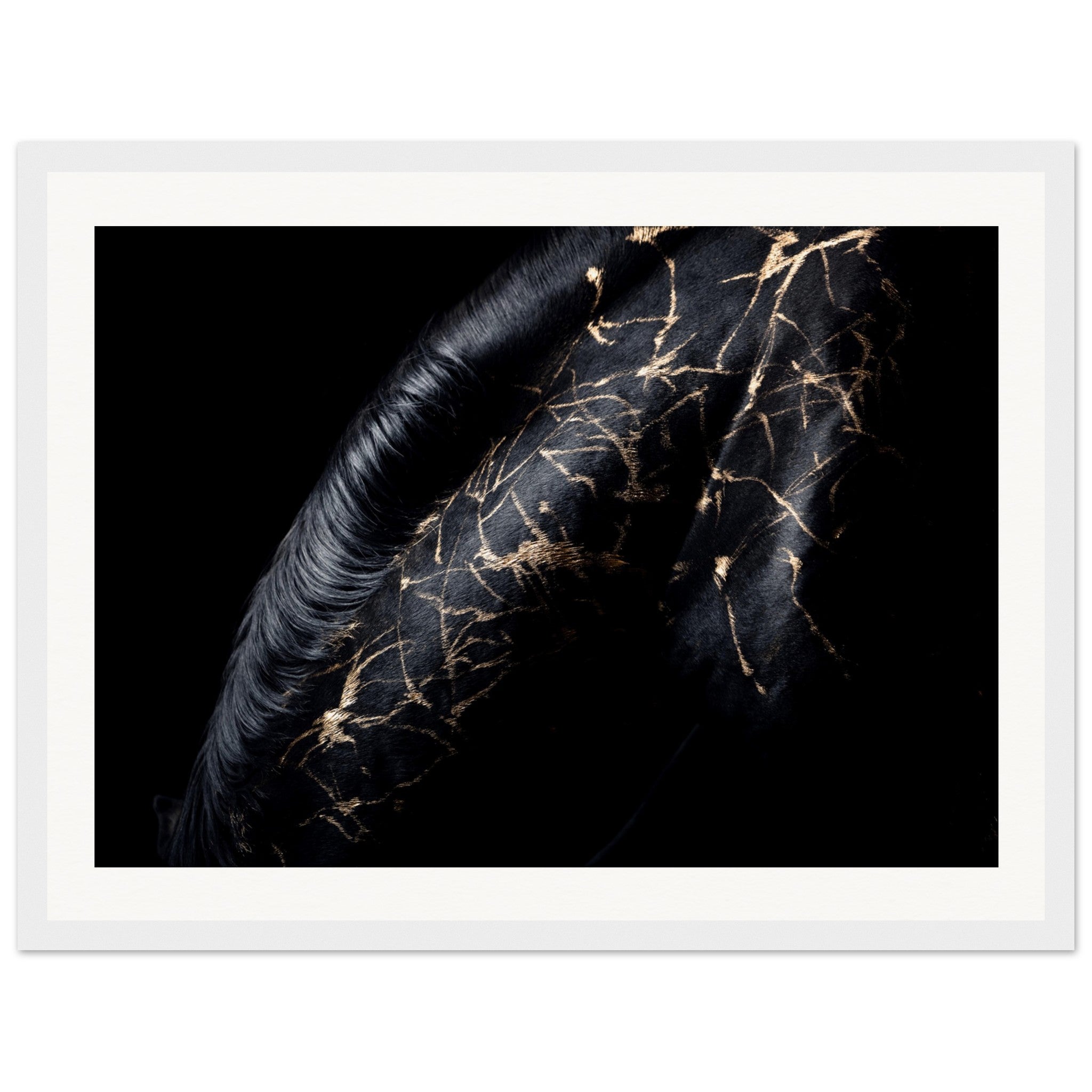 e730194a-2a41-4611-9bed-c7e4217f224d