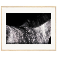 e74bd905-c5c9-4bf7-b289-98f32d1e73ce