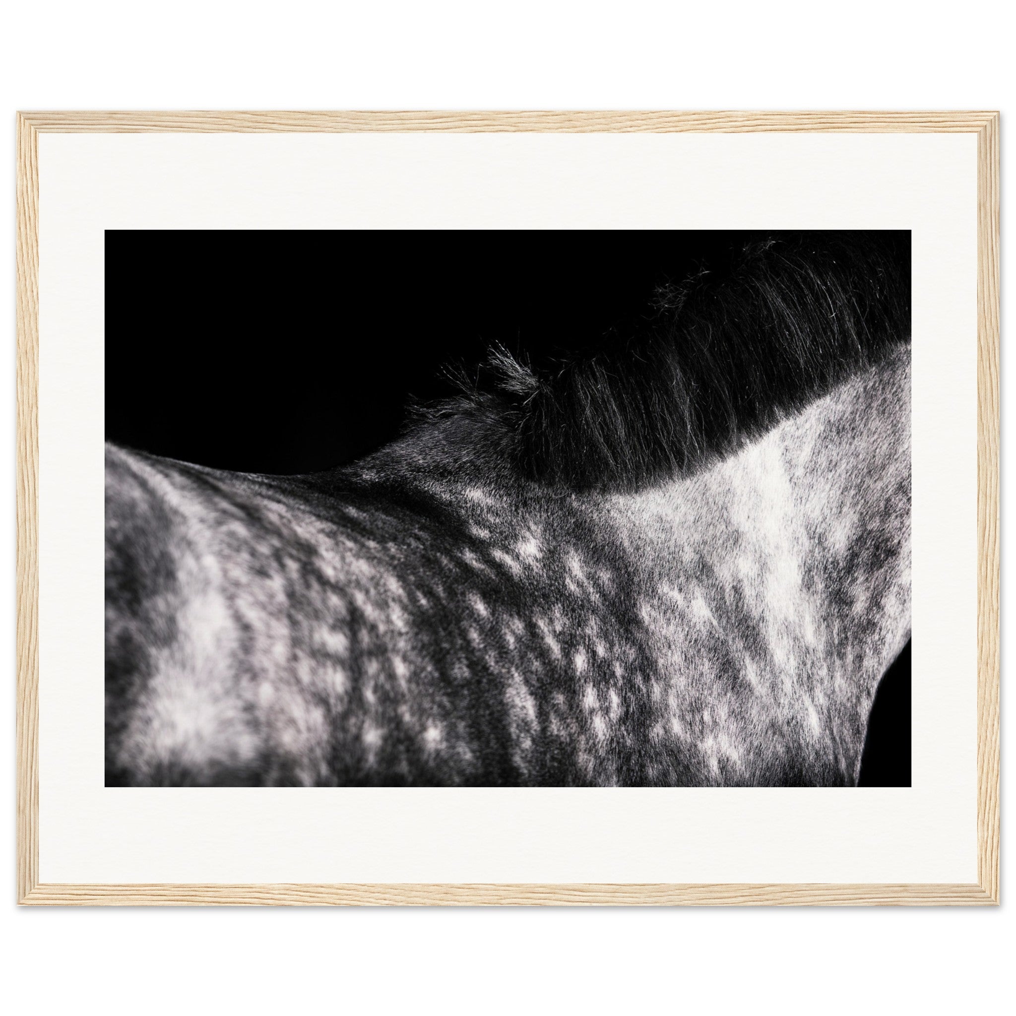 e74bd905-c5c9-4bf7-b289-98f32d1e73ce