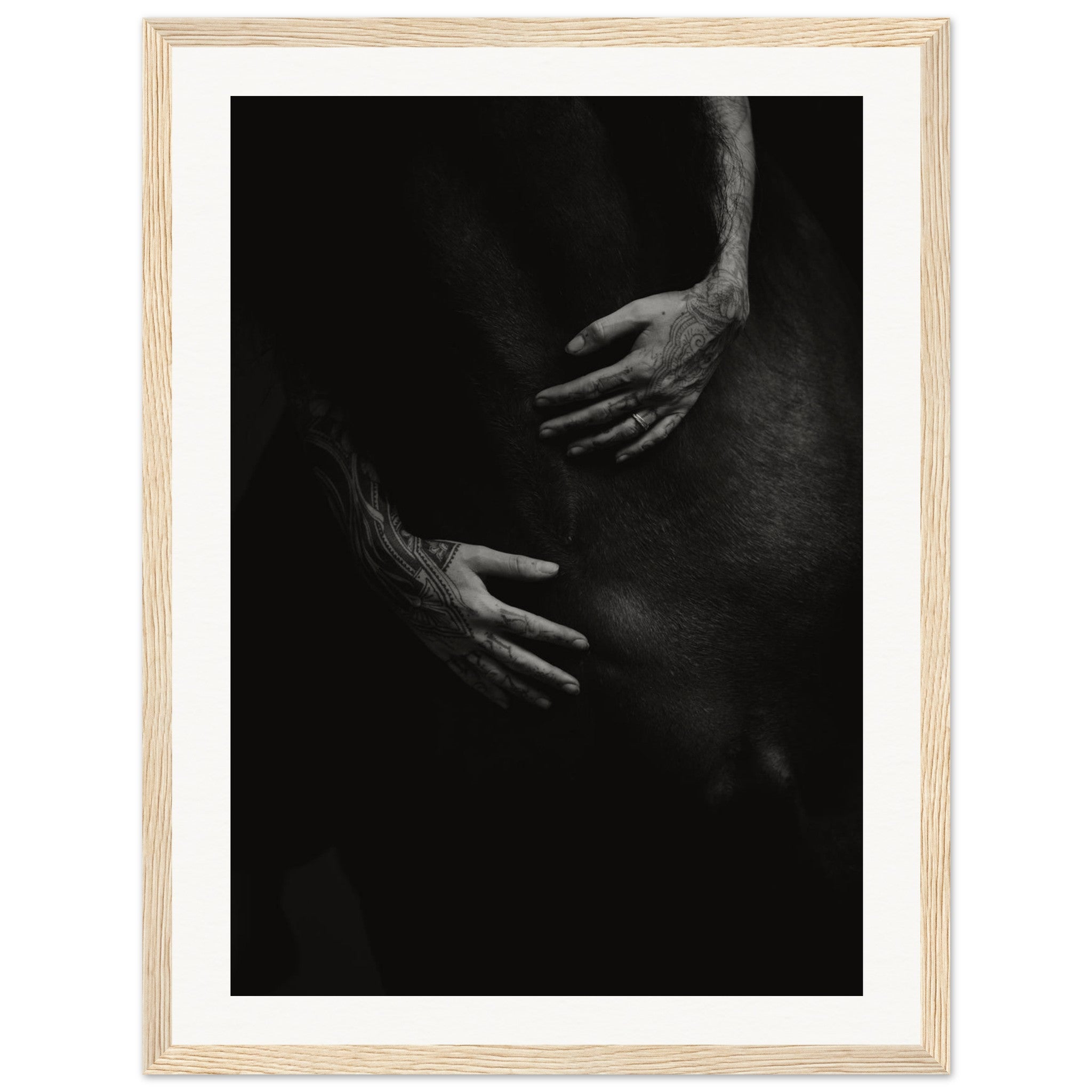 e75c5aca-610e-4e7c-a724-6c6daf56d571