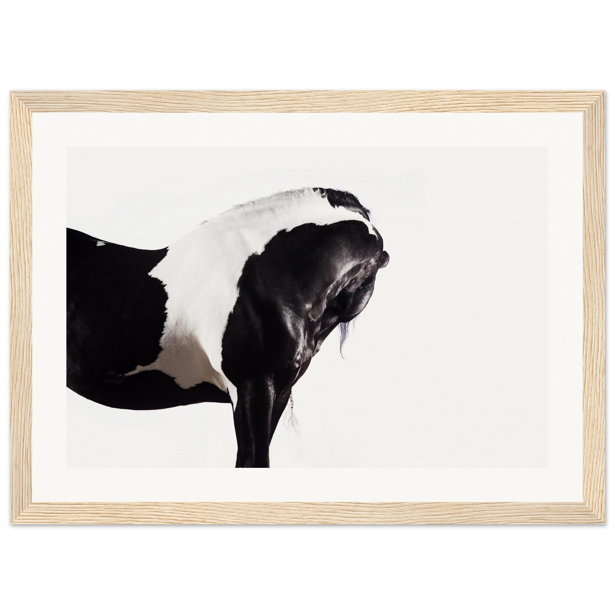 e7648d73-5de0-4404-b10f-a5239edc76e3