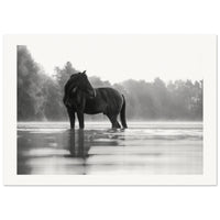 e7961ff6-7c23-43cf-951f-19f47feebe76