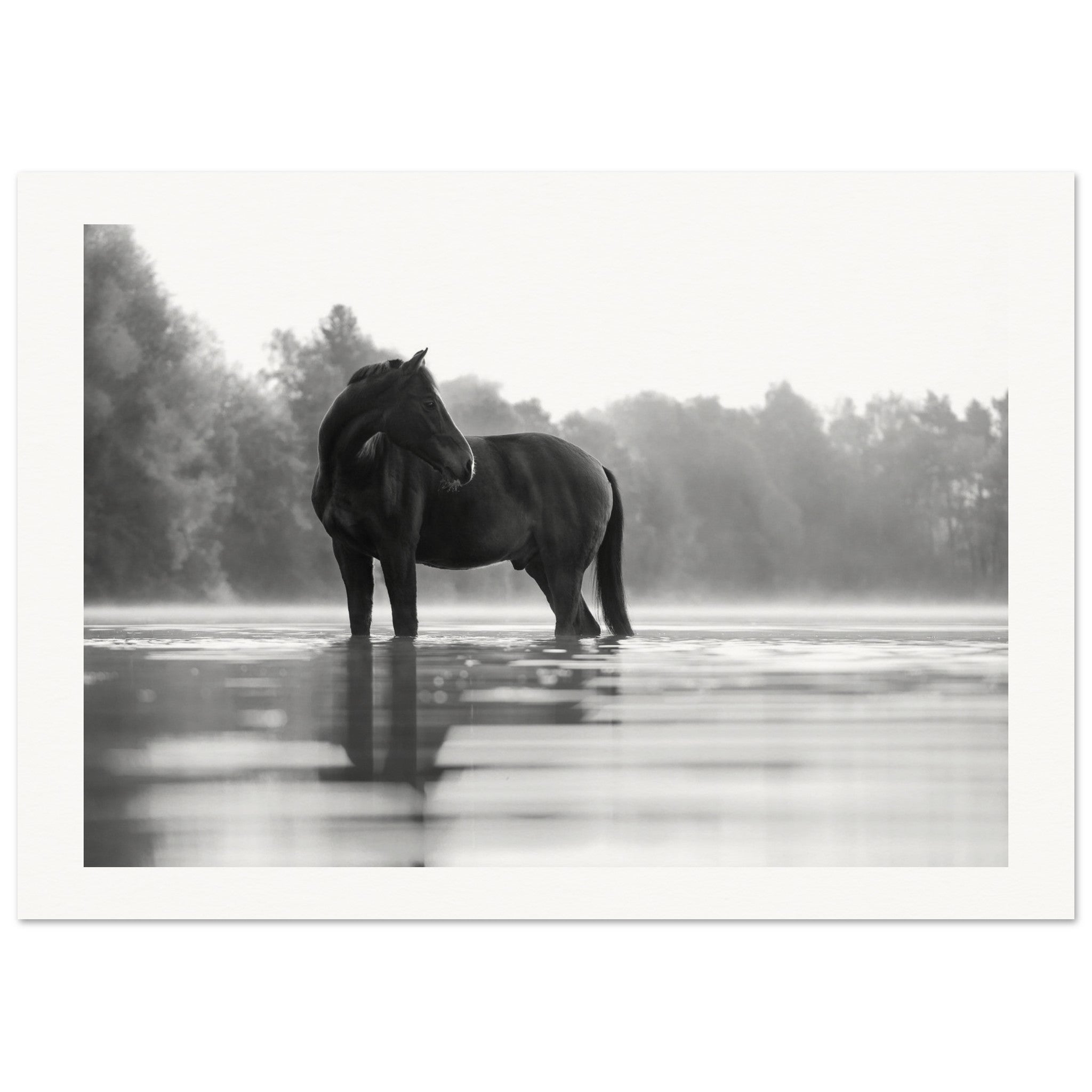 e7961ff6-7c23-43cf-951f-19f47feebe76