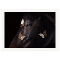 e7eb9366-0f2b-416f-b500-40563f10f8a4