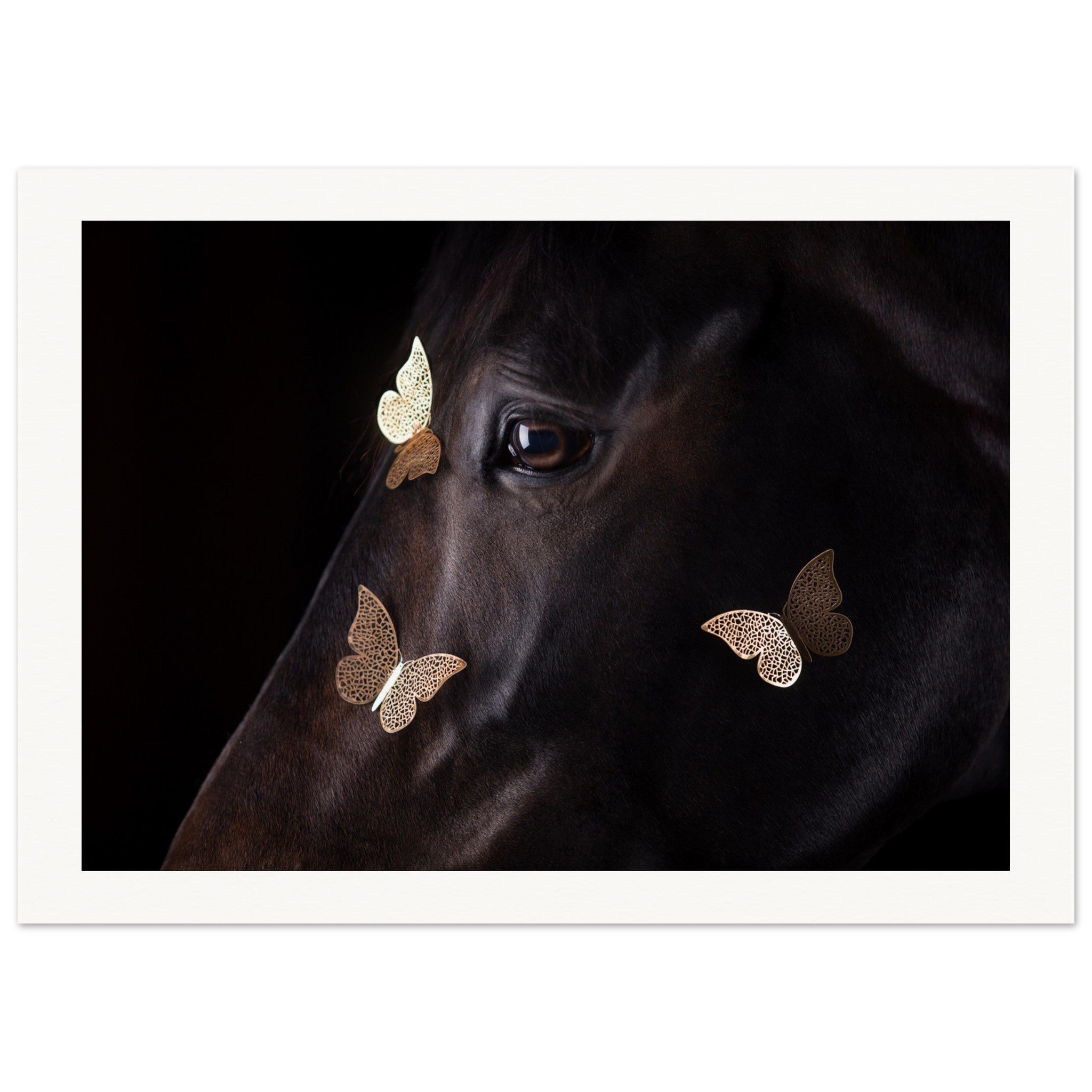 e7eb9366-0f2b-416f-b500-40563f10f8a4