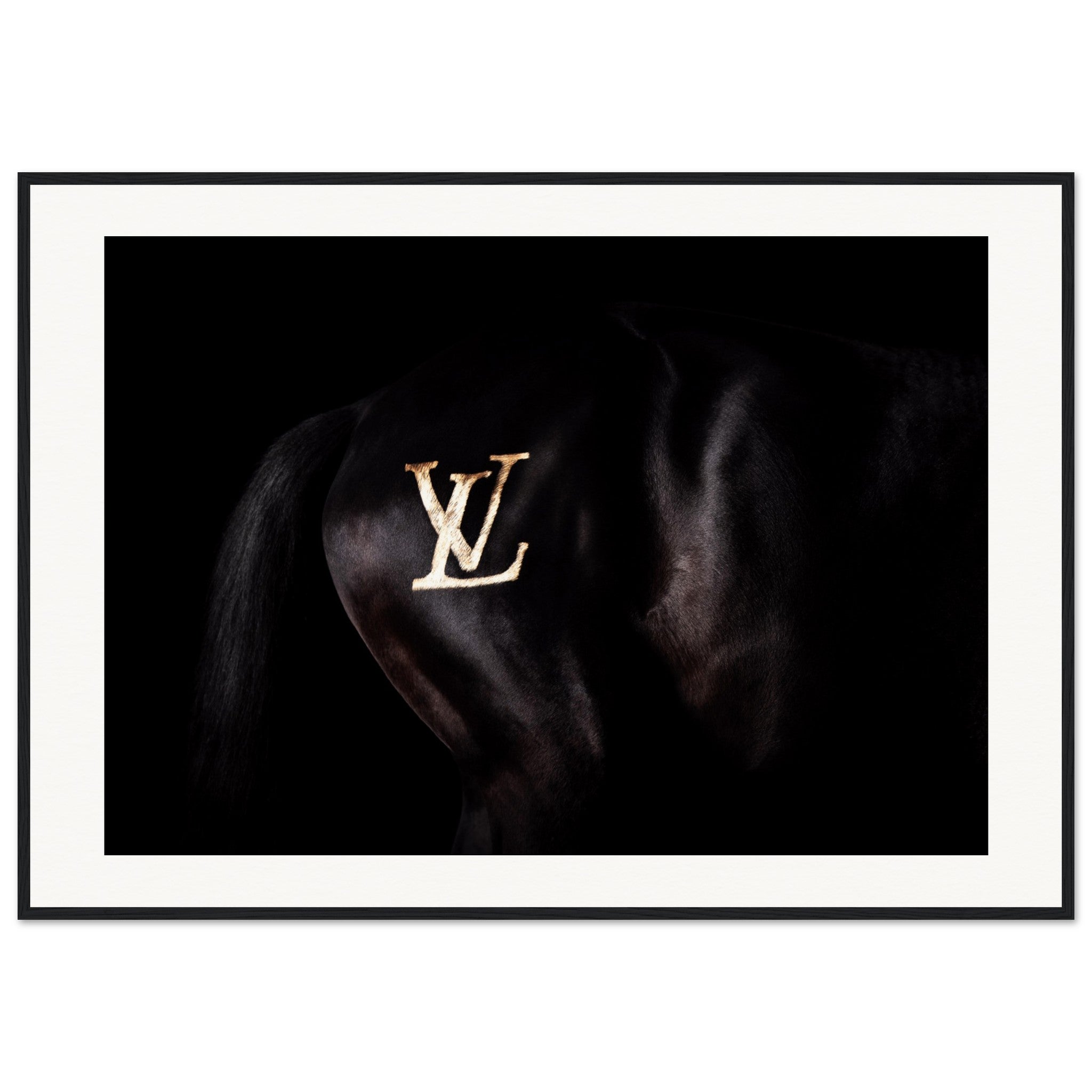 e85d3a9b-dbd5-4ed6-8947-2fcbaf2f2a8b