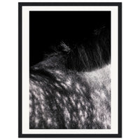 e86abeee-ceff-4a5e-93e9-ed7d77d65a38