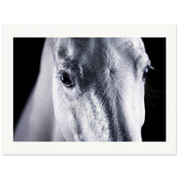 e898b564-a205-41e5-9159-07416963dca2