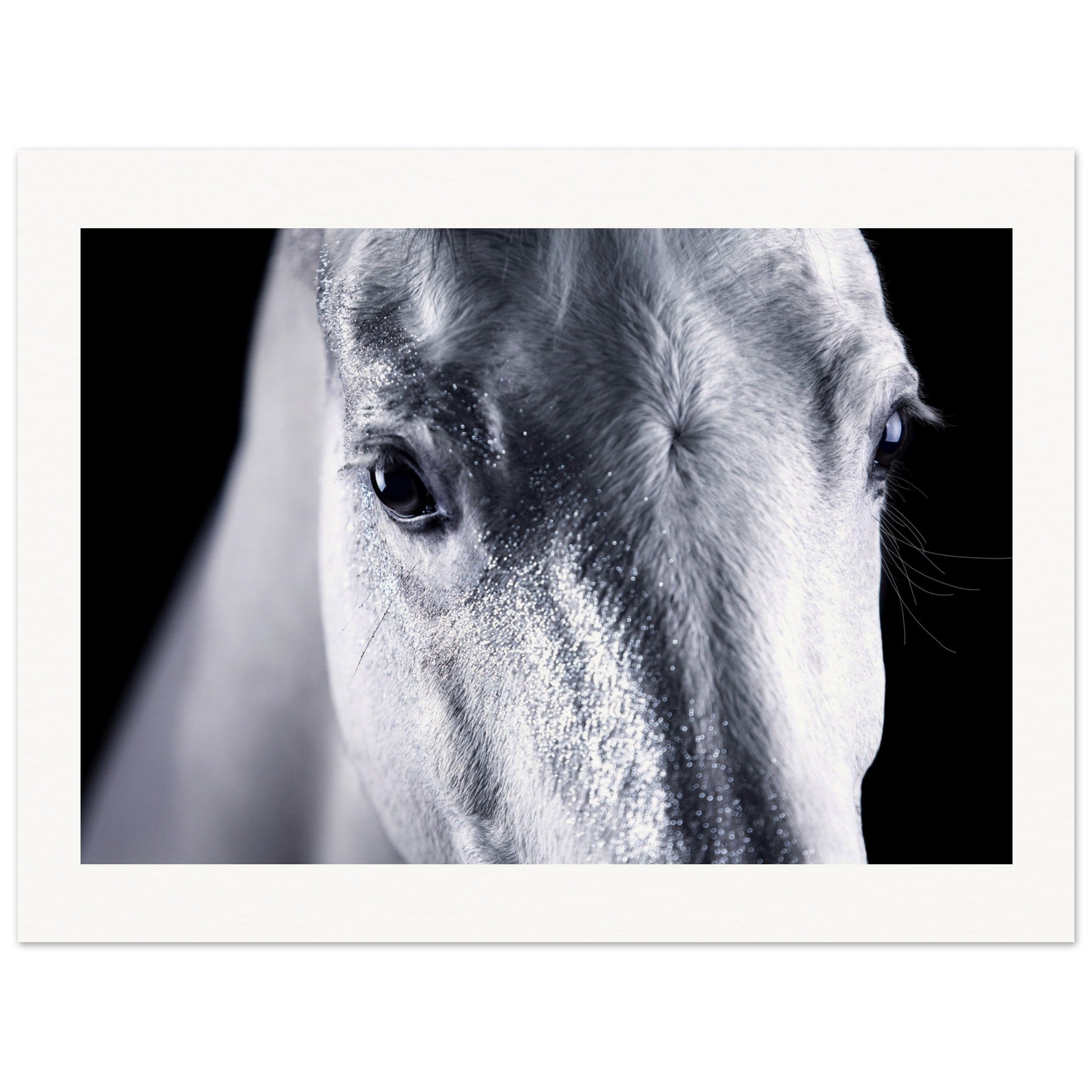 e898b564-a205-41e5-9159-07416963dca2